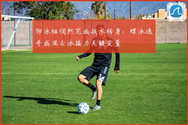 仰泳组悄然完成战术转身，蝶泳选手成混合泳接力关键变量
