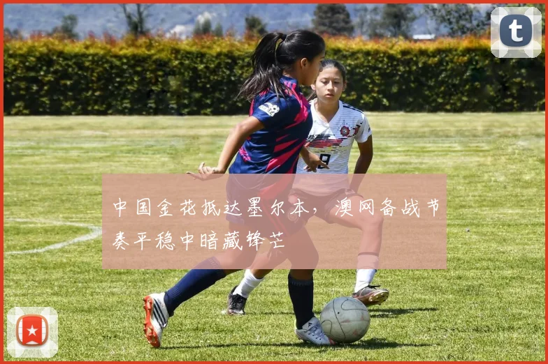 中国金花抵达墨尔本，澳网备战节奏平稳中暗藏锋芒